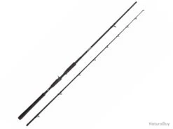 Canne Casting Abu Garcia Beast Casting Rod 155g 2m13 2 20 - 70g