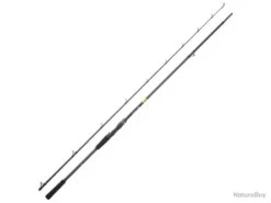 Canne Casting Daiwa Prorex E 2022 2 2m59 80 - 180g 194g