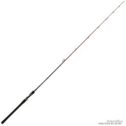 Canne Casting Tenryu Injection BC 62 XH