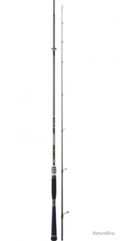 Divinity CANNE DIVINITY 2,26M 20-80G