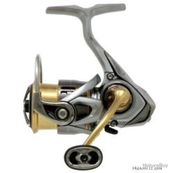 Moulinet Spinning Daiwa Freams LT 2018 5000 DC