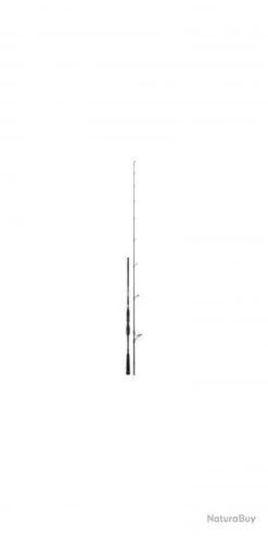 Bassforce Special Spinning CANNE BASSF.SP. 2,21M 6-30G -Abu Magasin 00003 Bassforce Special Spinning CANNE BASSF.SP . 2 21M 6 30G