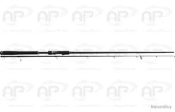 Canne Six Th Sense Sea Basics 2 2,20m 20-50gr