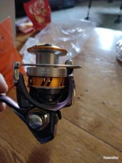 Moulinet DAIWA Régal 18 LT3000D-C Neuf Dans Sa Boîte Suite Erreur De Commande -Abu Magasin 00007 Moulinet DAIWA Regal 18 LT3000D C Neuf dans sa boite suite erreur de commande