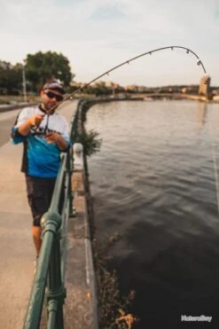 FOX RAGE Cannes Drop N Jig 210Cm 3-14G -Abu Magasin 00010 Cannes Drop N Jig 210Cm 3 14G