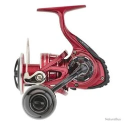 Moulinet Daiwa BG LT RR ARK - 6000 / DHARK