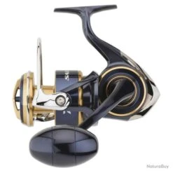 Moulinet Daiwa Saltiga 20 - 10000 / H -Abu Magasin 00057 Moulinet Daiwa Saltiga 20 10000 H