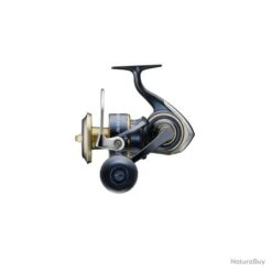 Moulinet Daiwa Saltiga 20 - 10000 / H -Abu Magasin 00059 Moulinet Daiwa Saltiga 20 10000 H