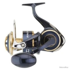 Moulinet Daiwa Saltiga 20 - 10000 / H -Abu Magasin 00062 Moulinet Daiwa Saltiga 20 10000 H