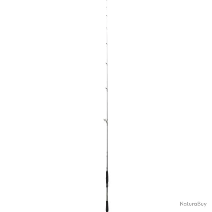 Canne Daiwa Prorex AGS Spinning - 2.44 M / HXHFSBF / 2 8 Canne Daiwa Prorex AGS Spinning - 2.44 M / HXHFSBF / 2 – Image 6